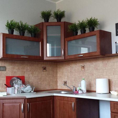 Hello Gdynia Hostel Экстерьер фото