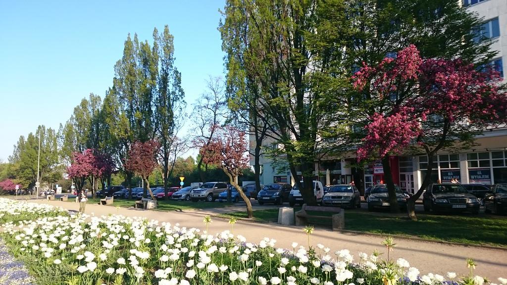 Hello Gdynia Hostel Экстерьер фото